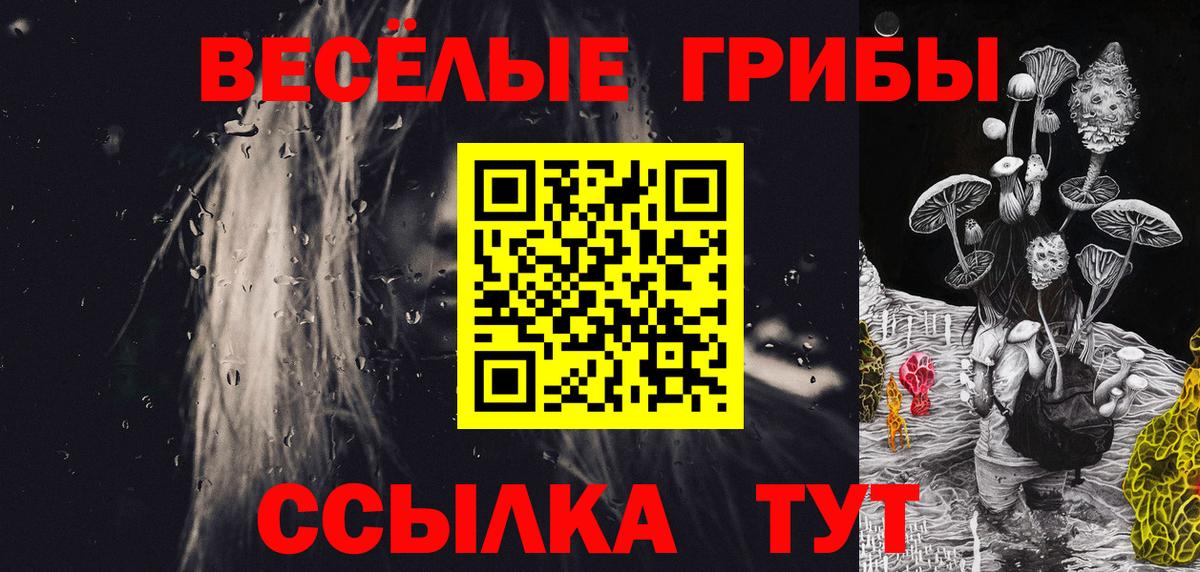 Псилоцибиновые грибы мицелий Кострома