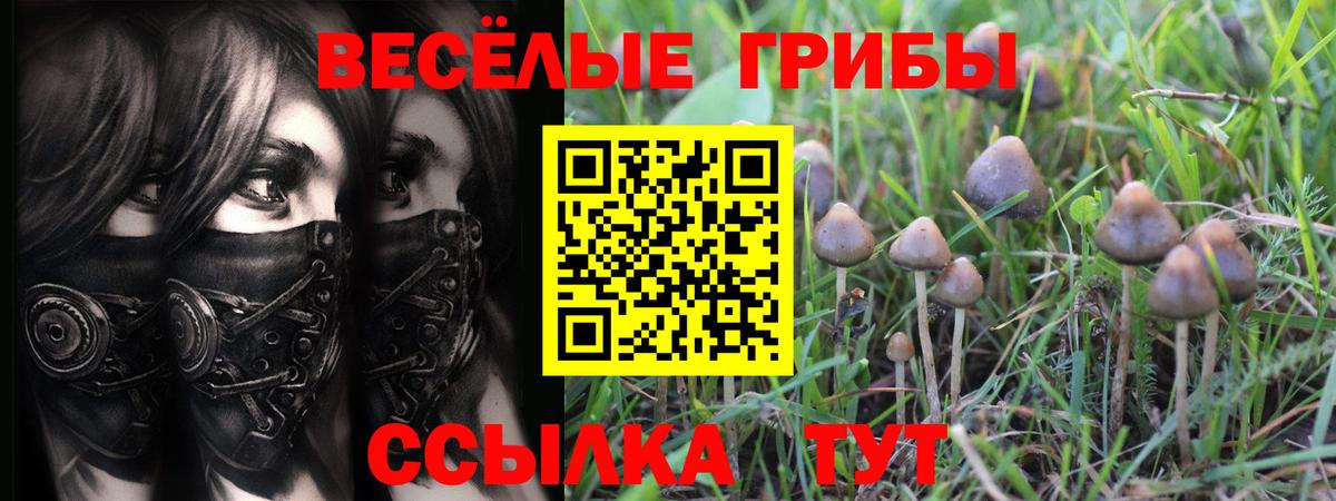 Галлюциногенные грибы Psilocybe  Вход с VPN  Кострома  Псилоцибиновые грибы Cubensis 